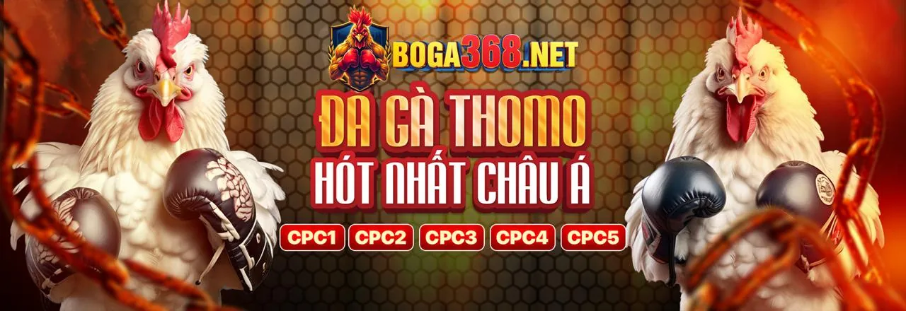 Giao diện cá cược đá gà trực tuyến ku77